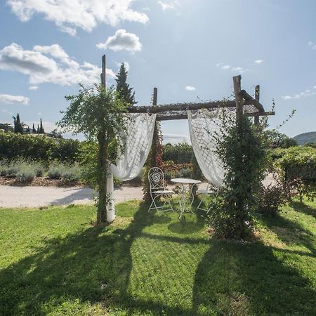 Maso Maroni Agriturismo Quinto di Valpantena المظهر الخارجي الصورة