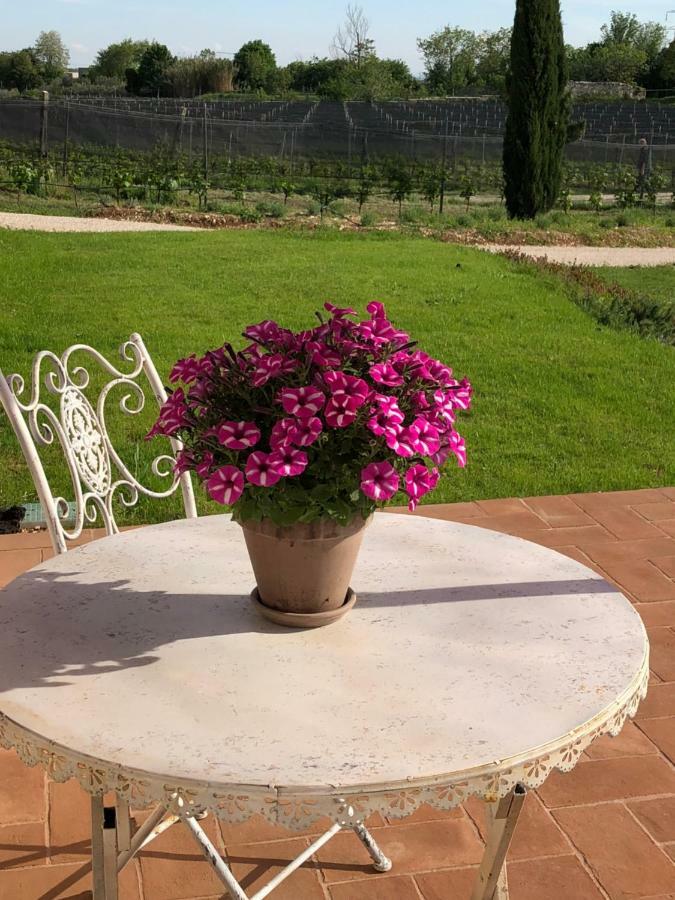 Maso Maroni Agriturismo Quinto di Valpantena المظهر الخارجي الصورة