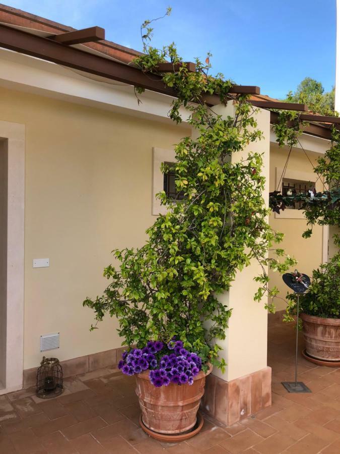 Maso Maroni Agriturismo Quinto di Valpantena المظهر الخارجي الصورة