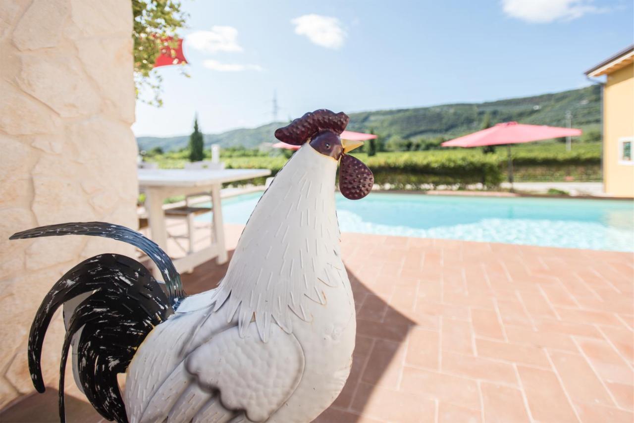 Maso Maroni Agriturismo Quinto di Valpantena المظهر الخارجي الصورة