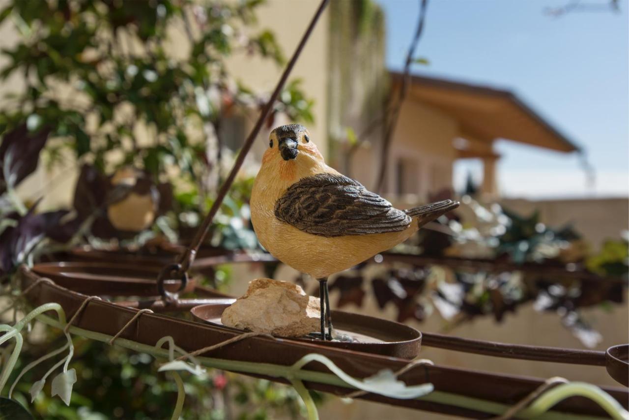 Maso Maroni Agriturismo Quinto di Valpantena المظهر الخارجي الصورة